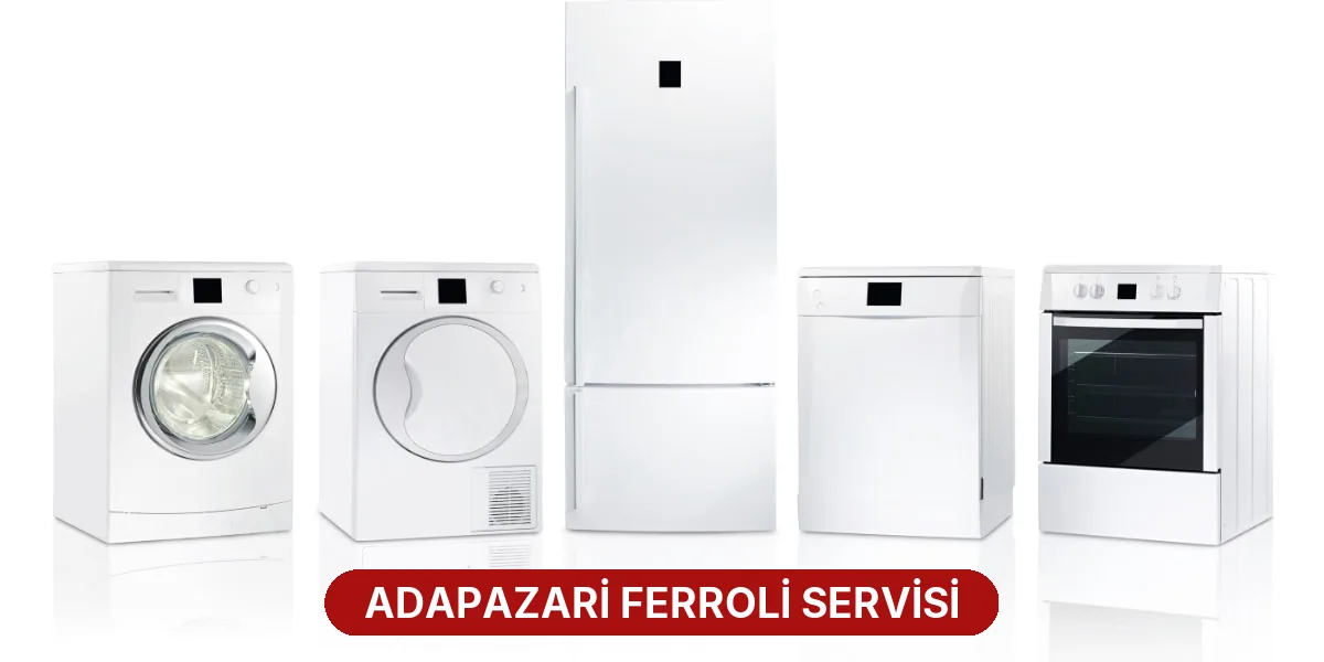Adapazari Ferroli Servisi