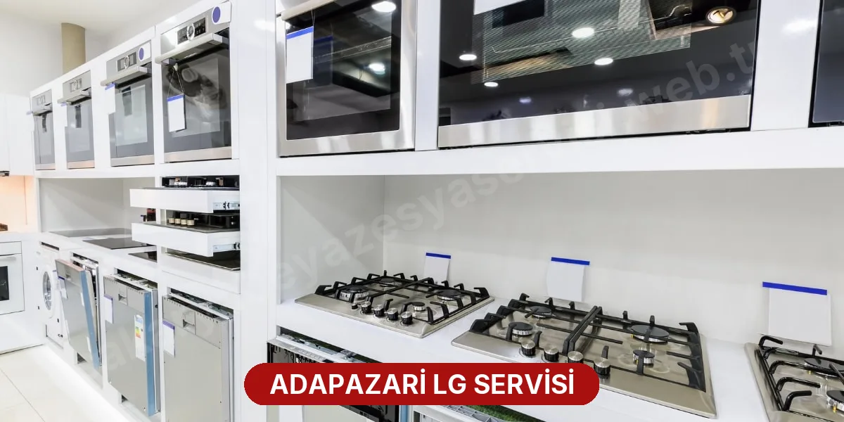 Adapazari LG Servisi