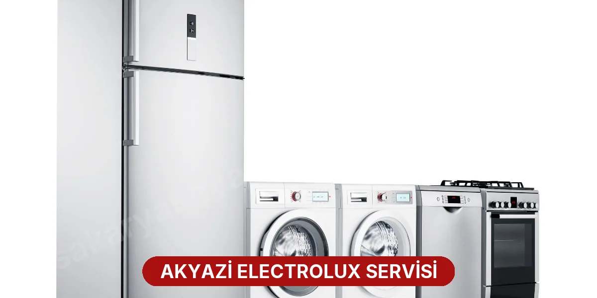 Akyazi Electrolux Servisi