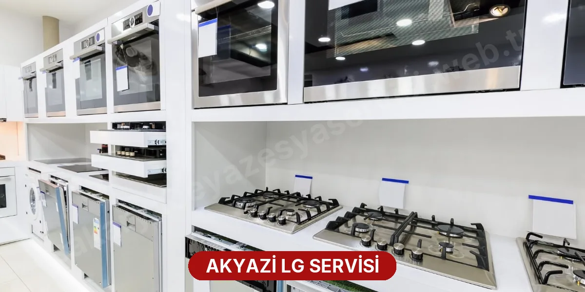 Akyazi LG Servisi