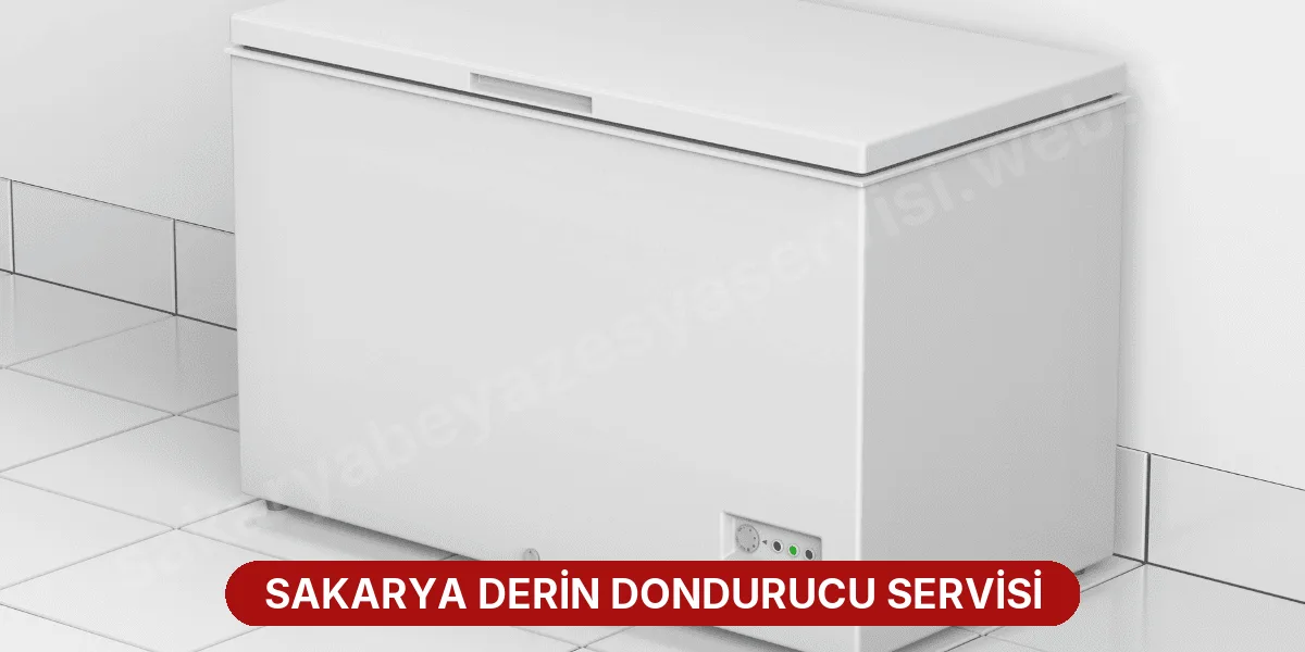 Sakarya Derin Dondurucu Servisi