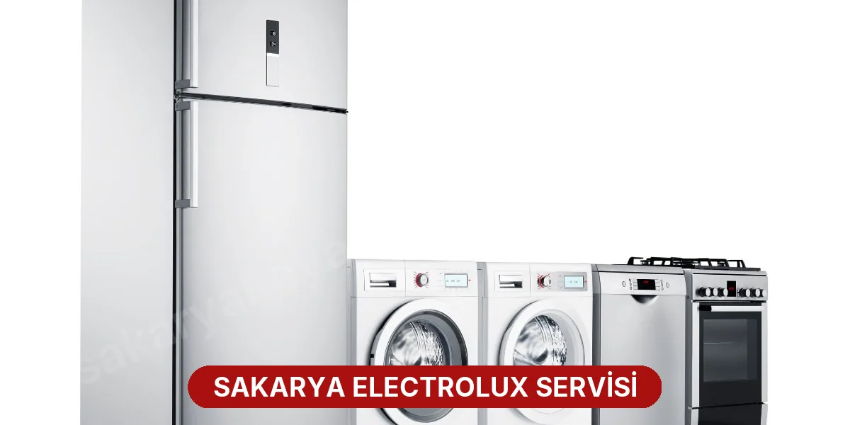 Sakarya Electrolux Servisi