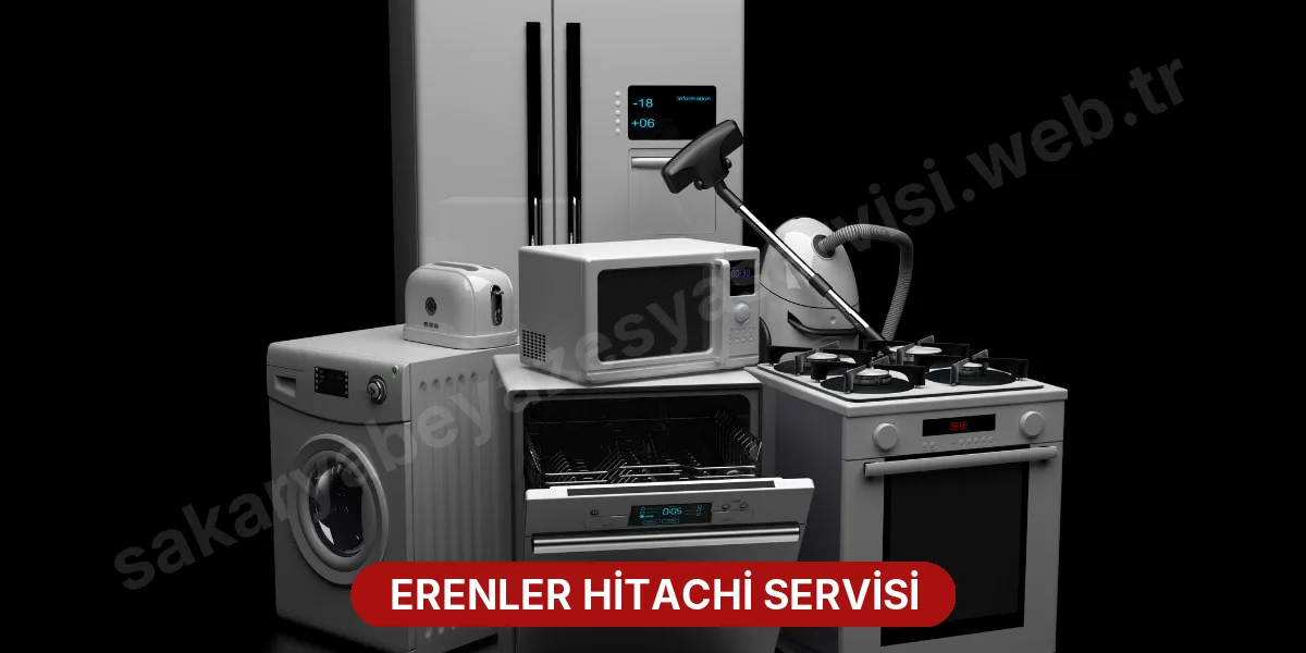 Erenler Hitachi Servisi
