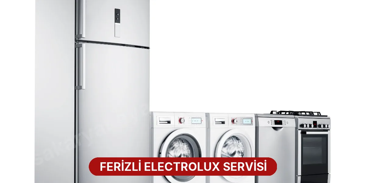 Ferizli Electrolux Servisi