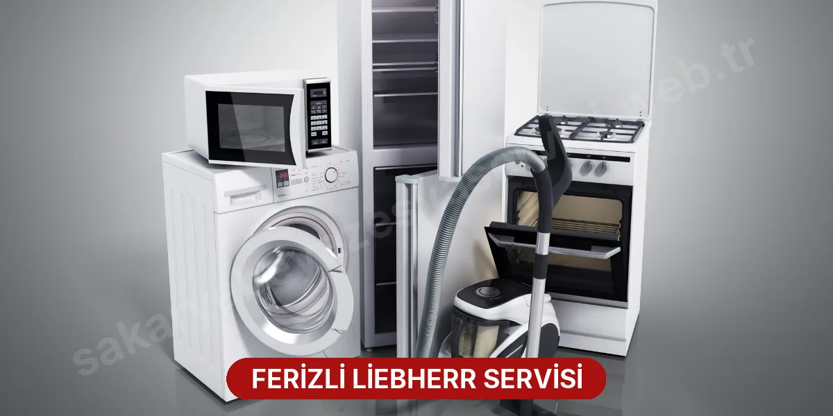 Ferizli Liebherr Servisi