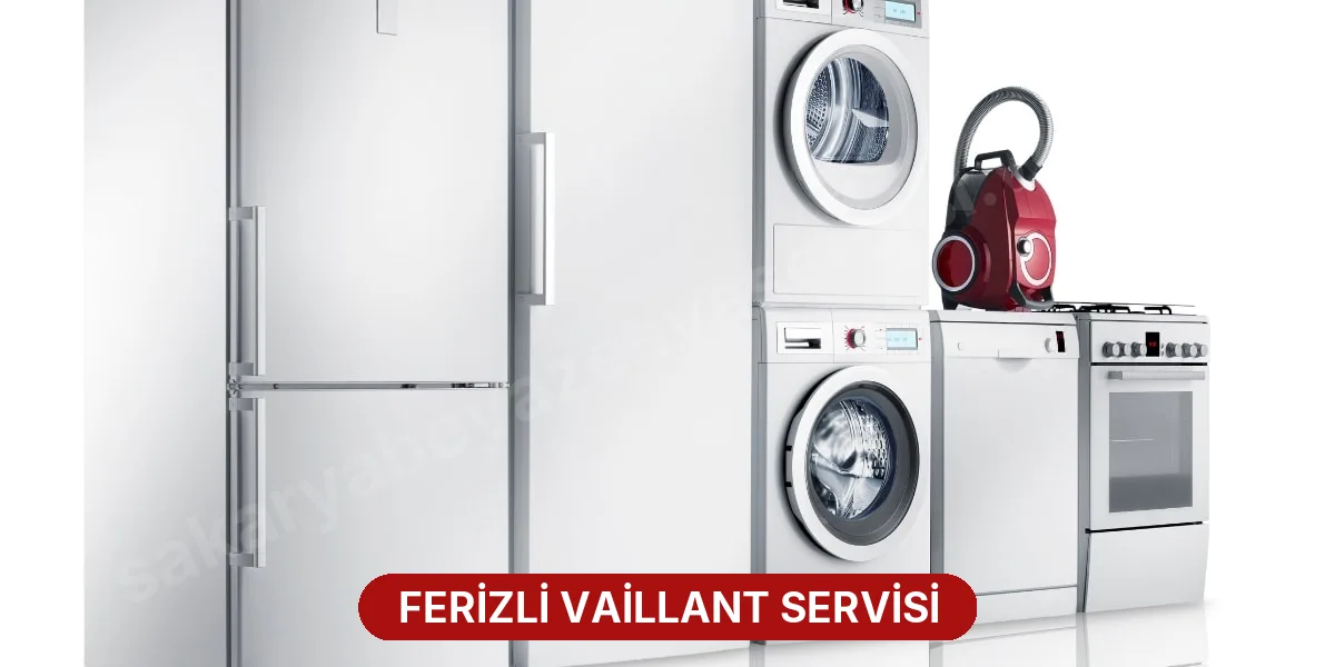 Ferizli Vaillant Servisi