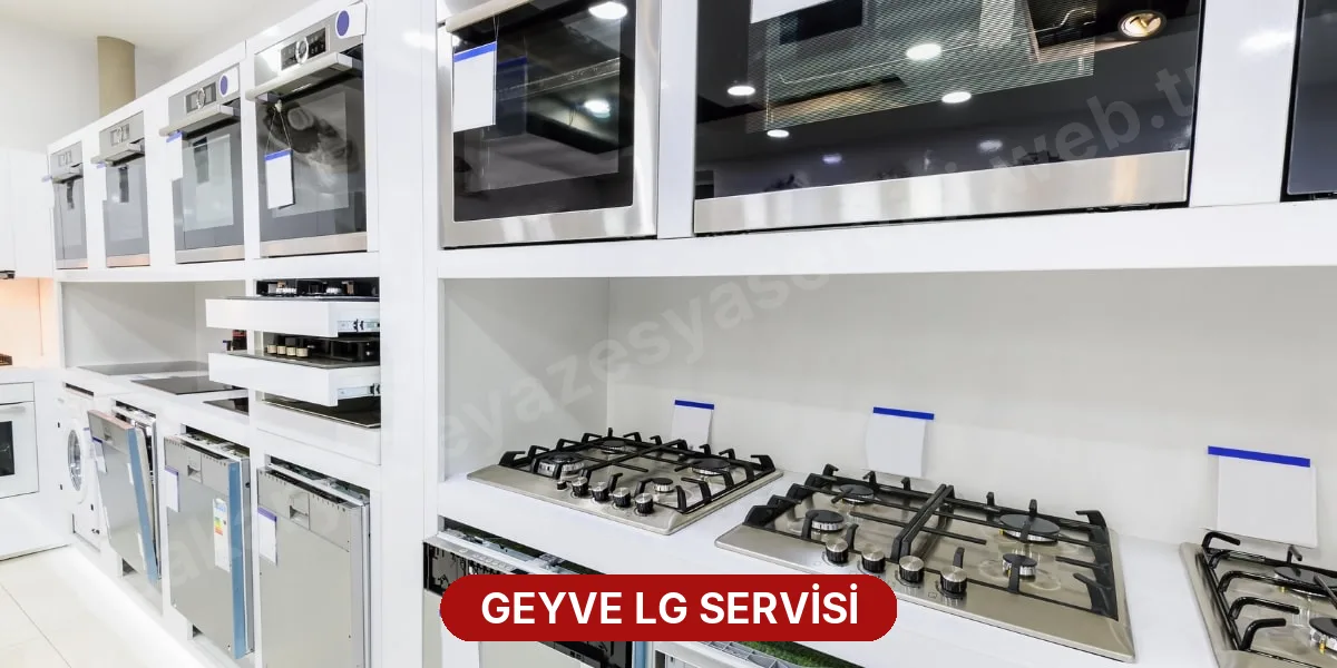 Geyve LG Servisi