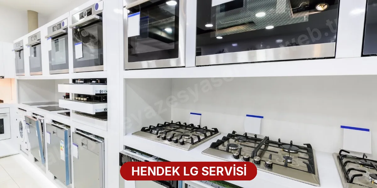 Hendek LG Servisi