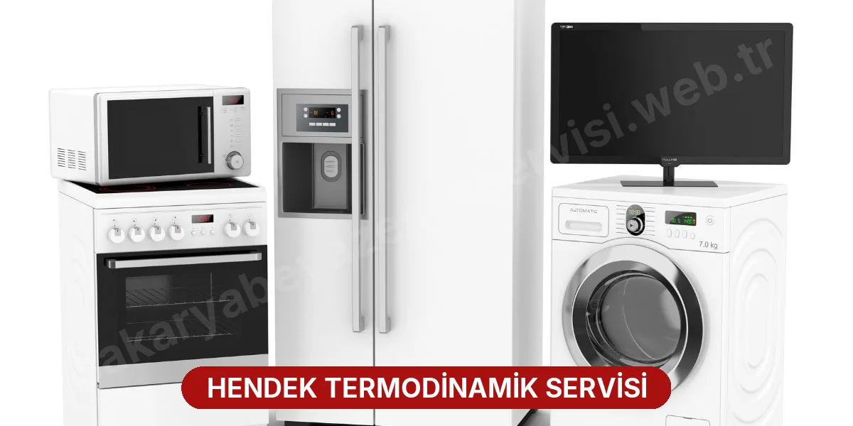 Hendek Termodinamik Servisi