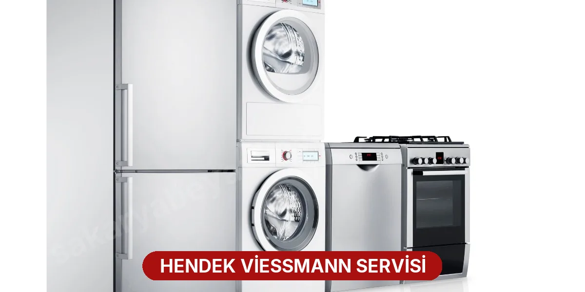 Hendek Viessmann Servisi