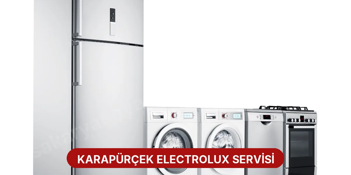 Karapürçek Electrolux Servisi