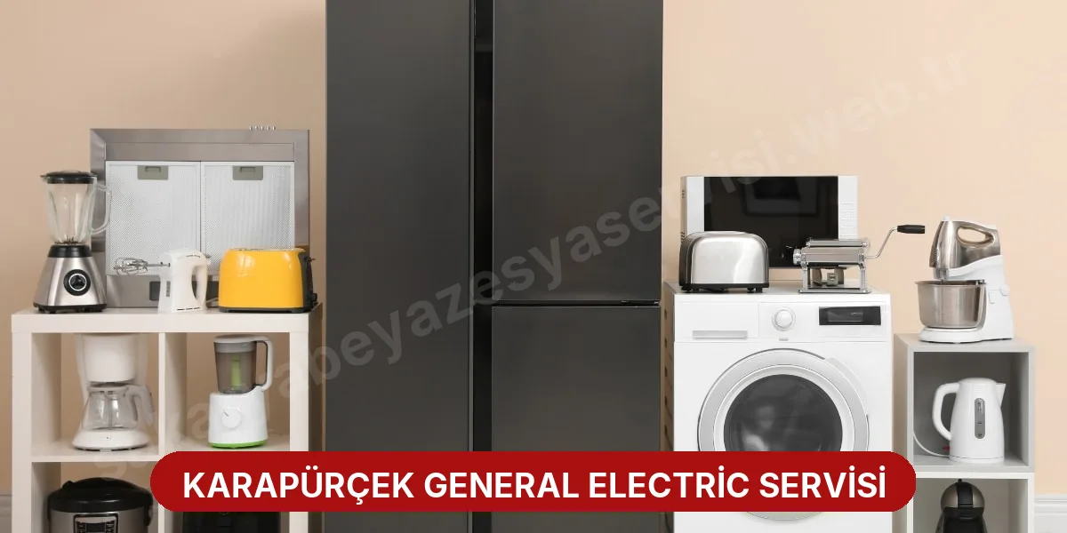 Karapürçek General Electric Servisi