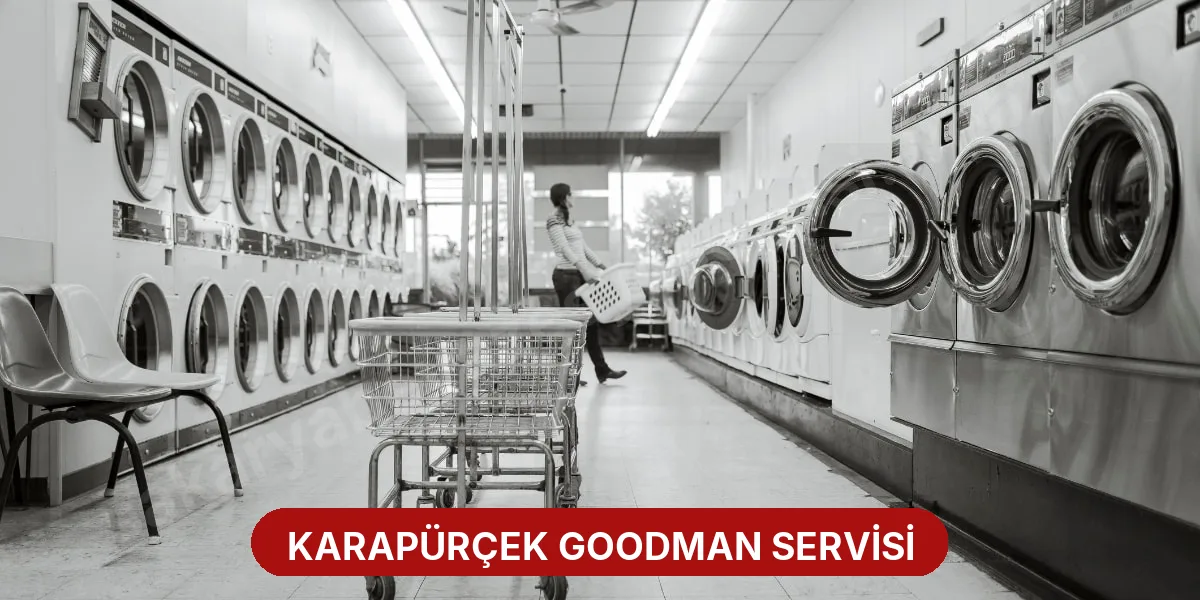 Karapürçek Goodman Servisi