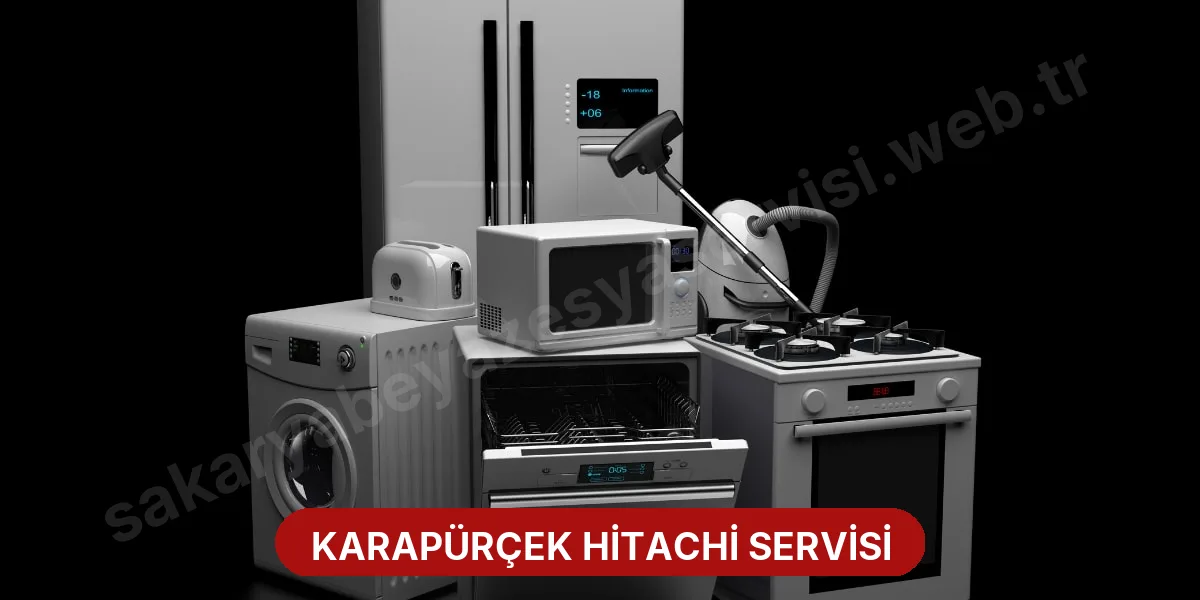 Karapürçek Hitachi Servisi