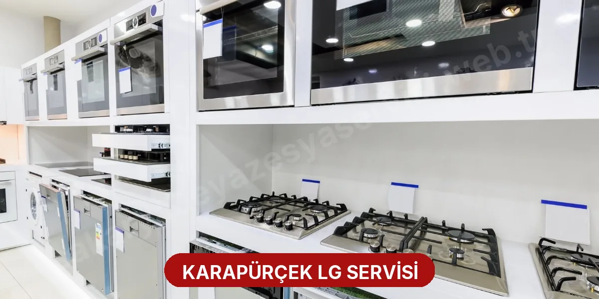 Karapürçek LG Servisi