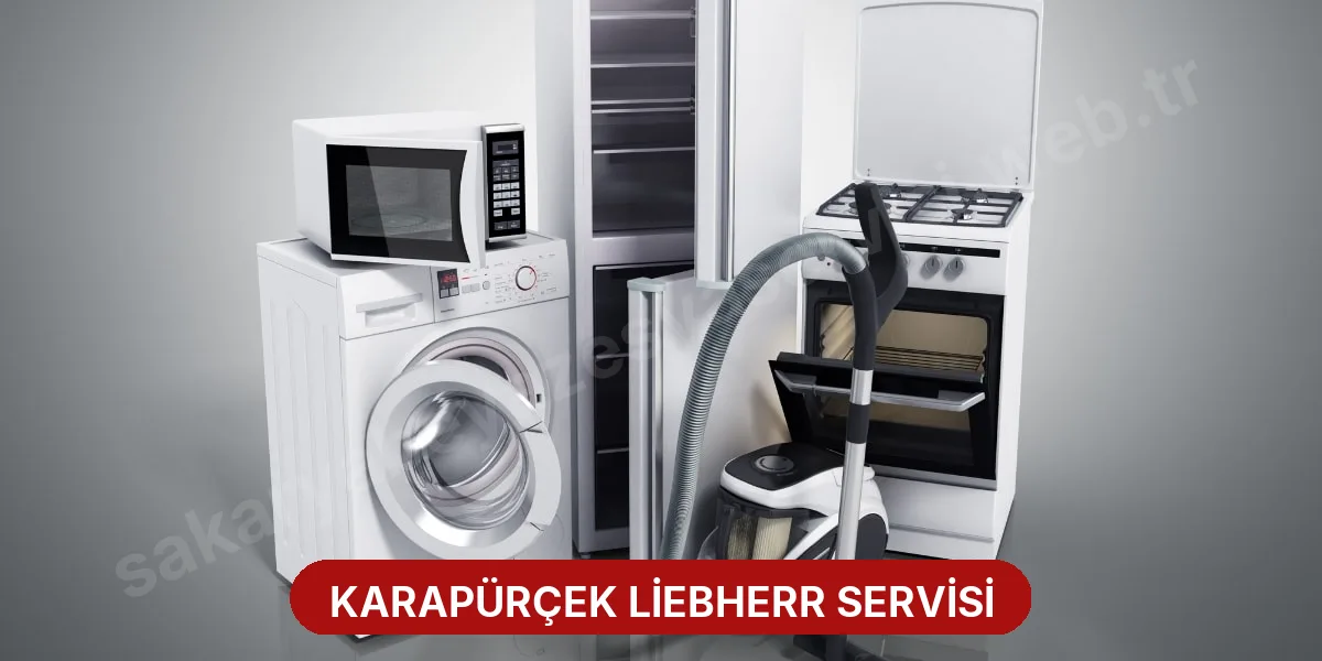 Karapürçek Liebherr Servisi