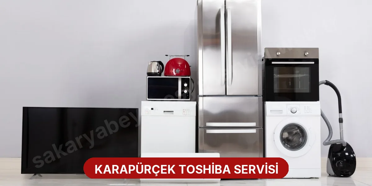 Karapürçek Toshiba Servisi