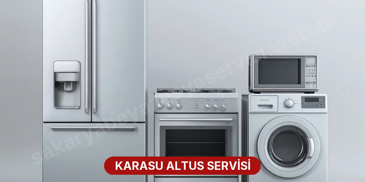 Karasu Altus Servisi