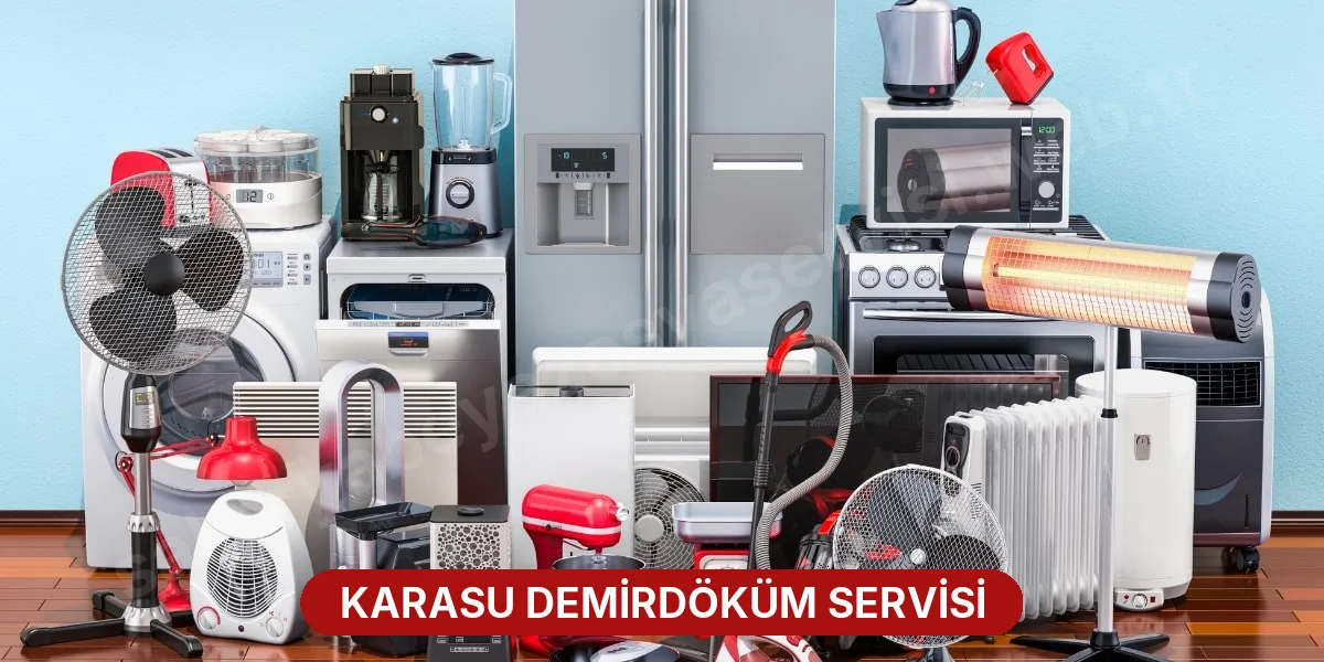 Karasu Demirdöküm Servisi
