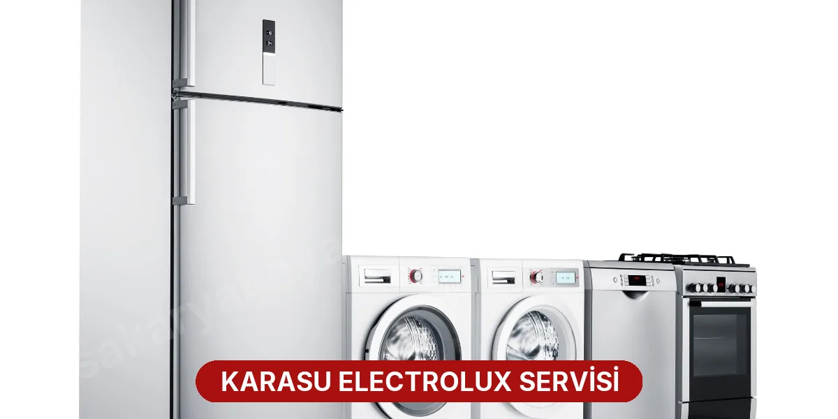 Karasu Electrolux Servisi