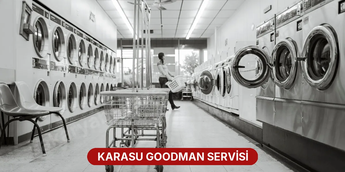 Karasu Goodman Servisi