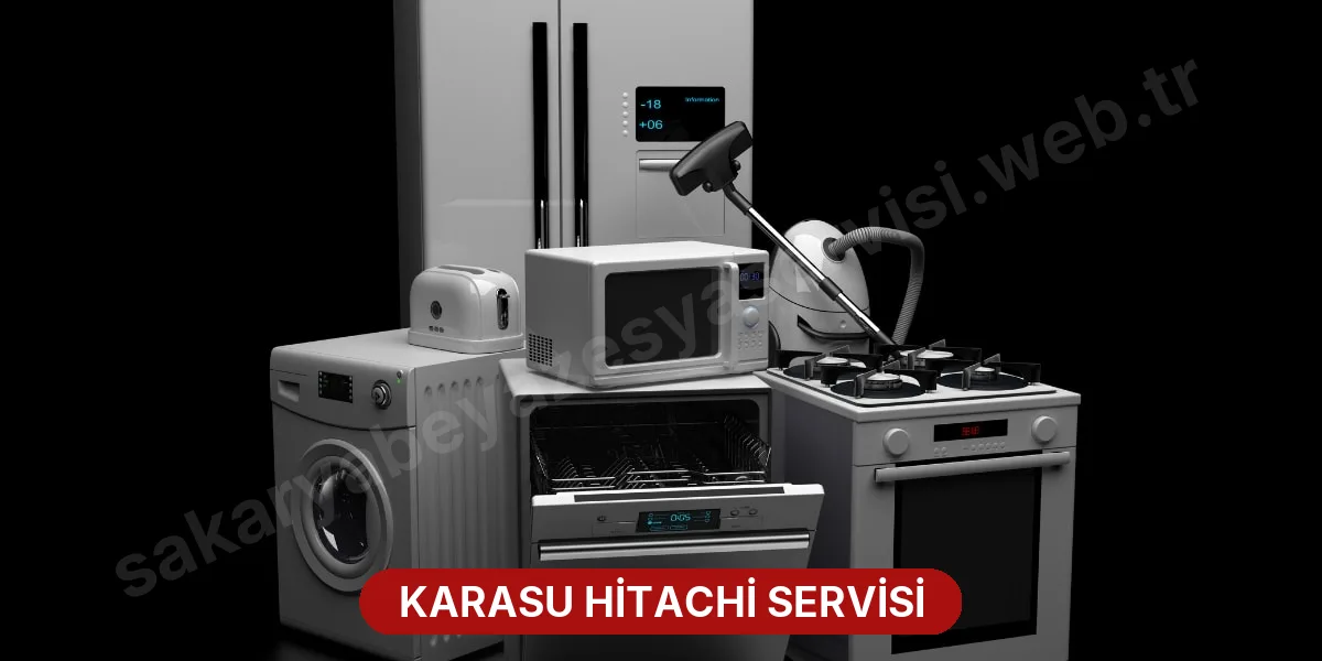 Karasu Hitachi Servisi