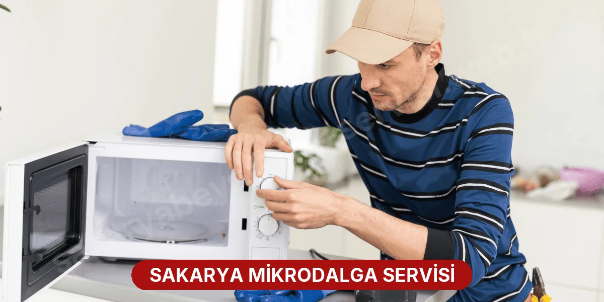Sakarya Mikrodalga Servisi