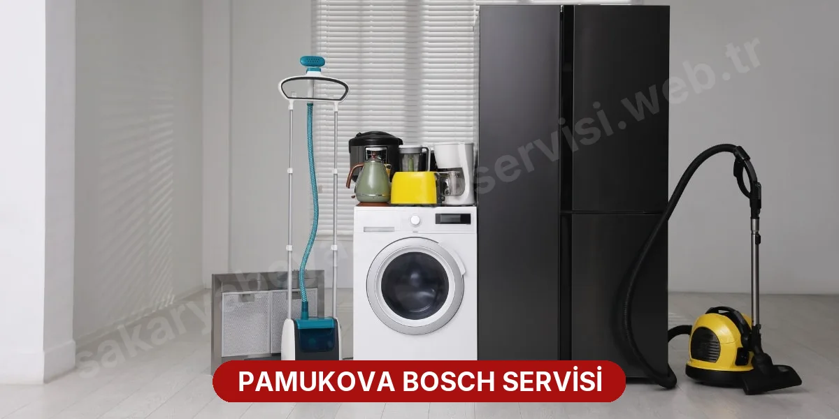 Pamukova Bosch Servisi