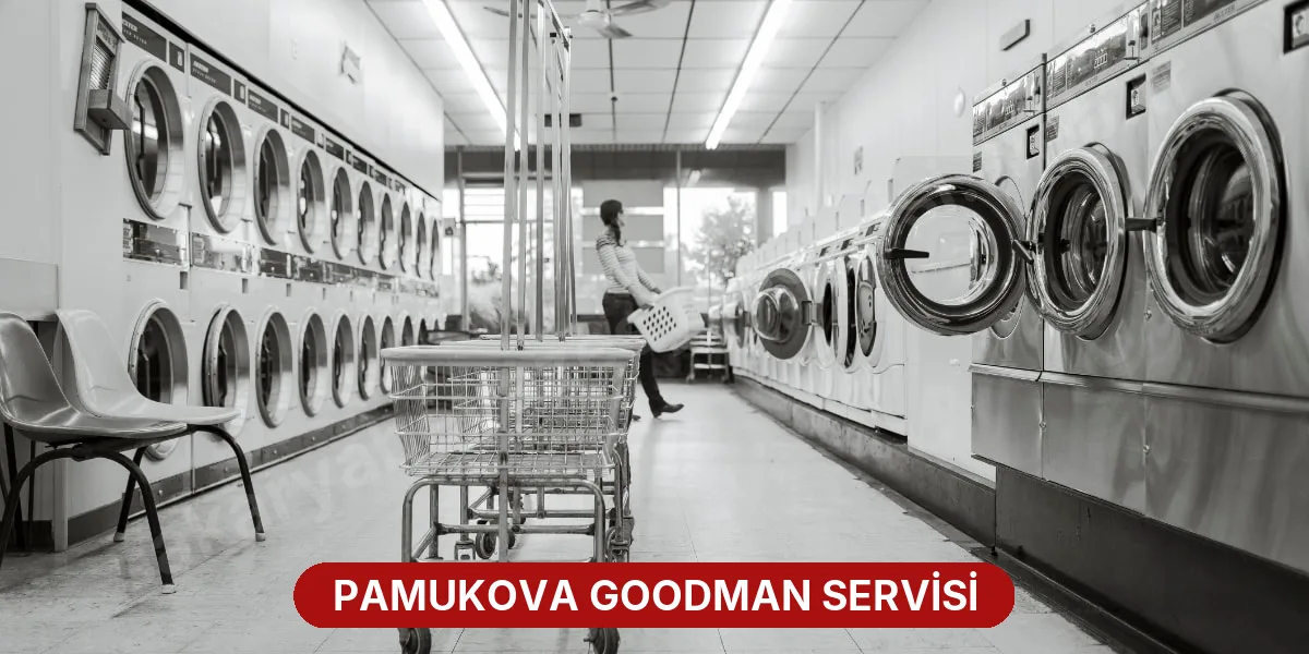 Pamukova Goodman Servisi