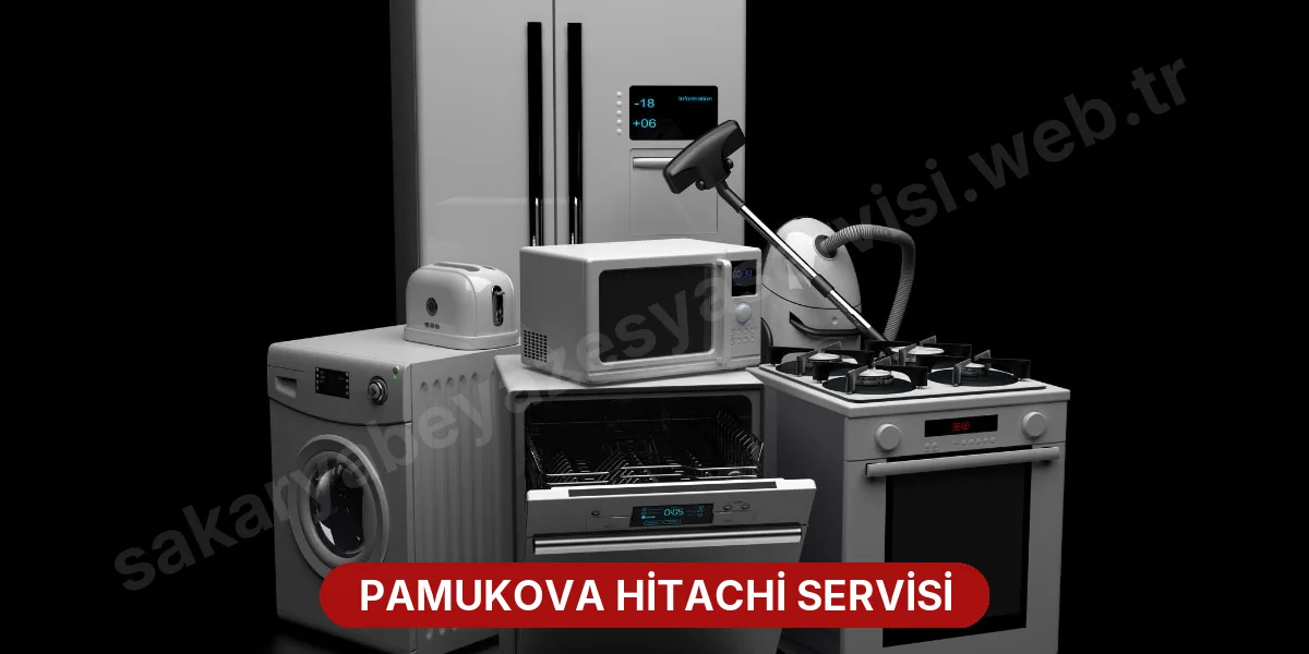 Pamukova Hitachi Servisi
