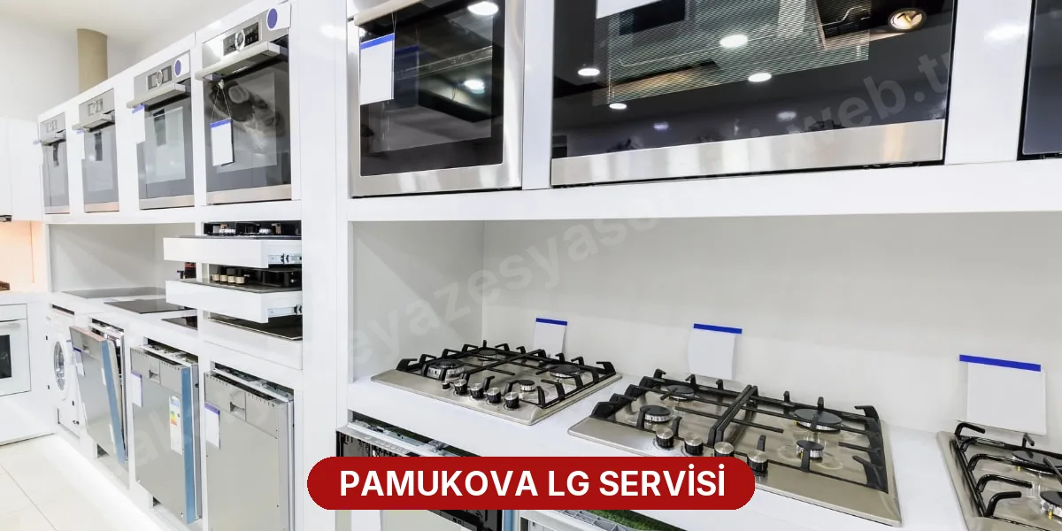 Pamukova LG Servisi