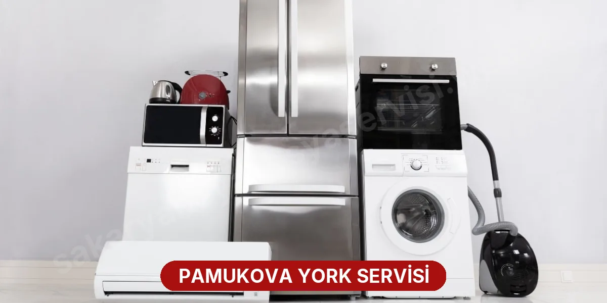 Pamukova York Servisi