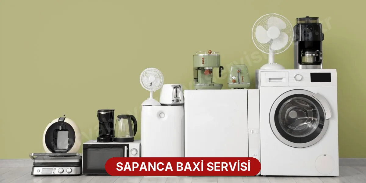 Sapanca Baxi Servisi