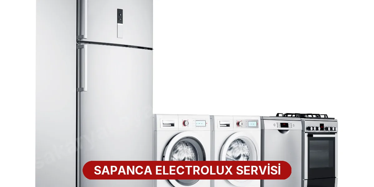 Sapanca Electrolux Servisi