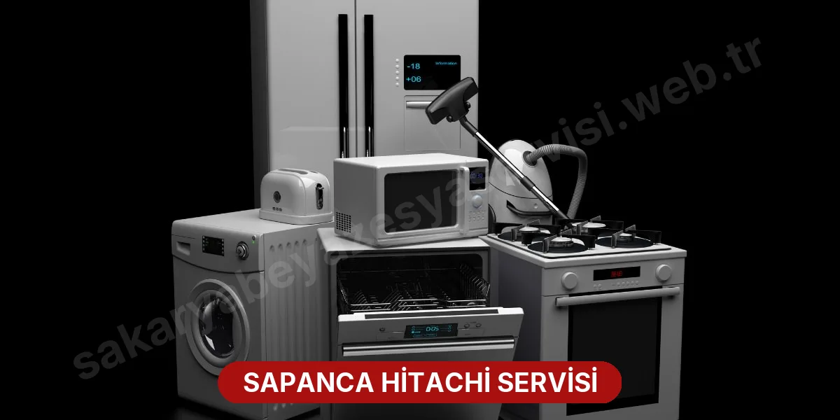 Sapanca Hitachi Servisi