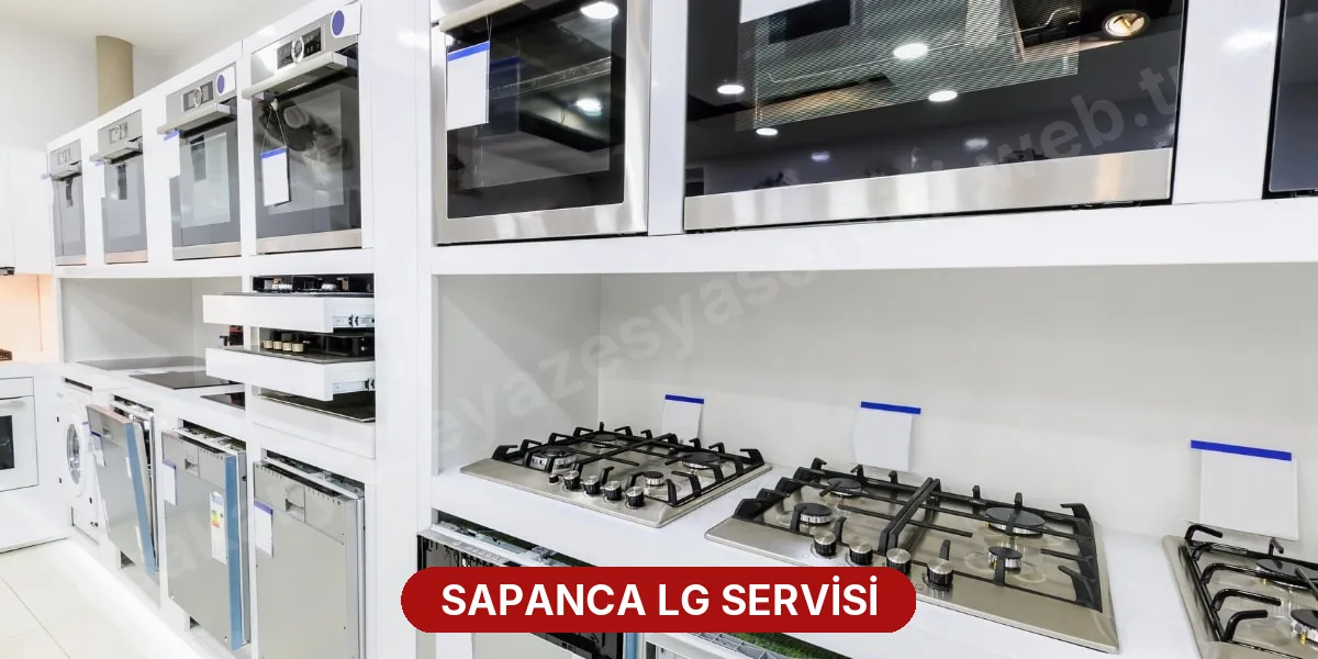 Sapanca LG Servisi