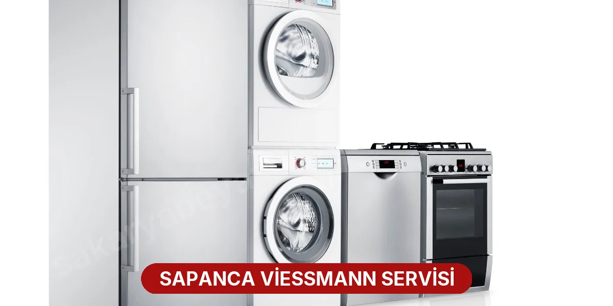Sapanca Viessmann Servisi