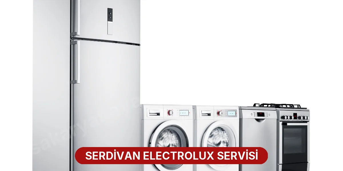 Serdivan Electrolux Servisi