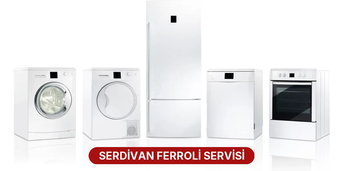 Serdivan Ferroli Servisi