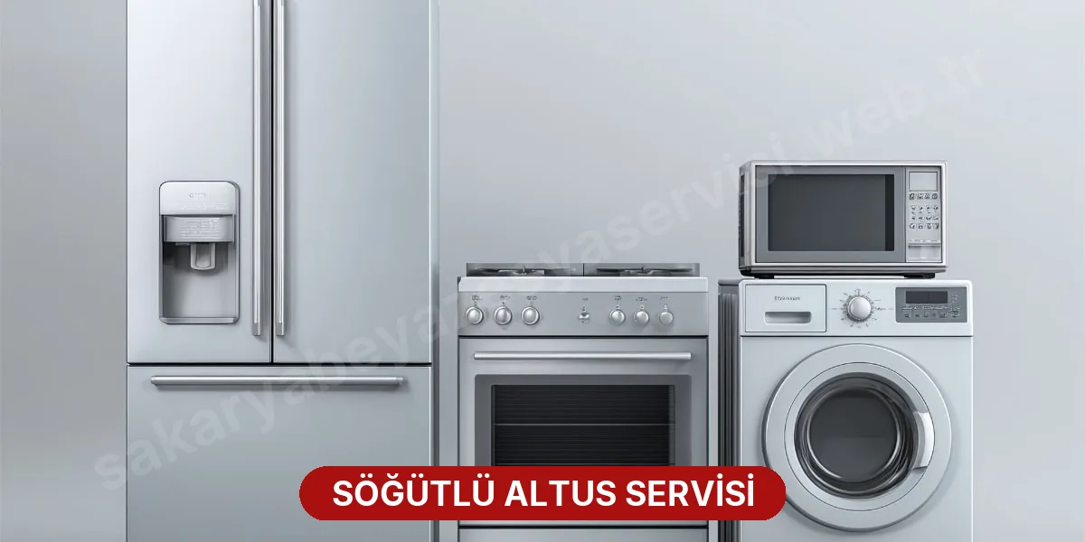Söğütlü Altus Servisi