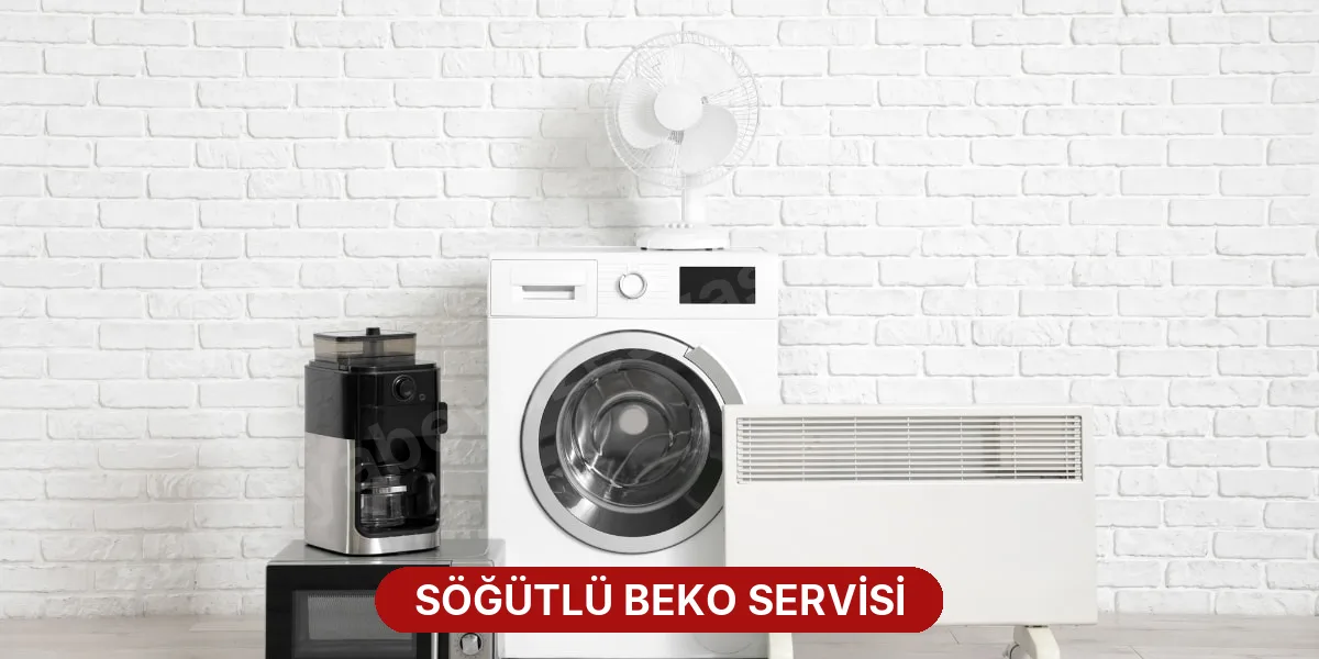 Söğütlü Beko Servisi