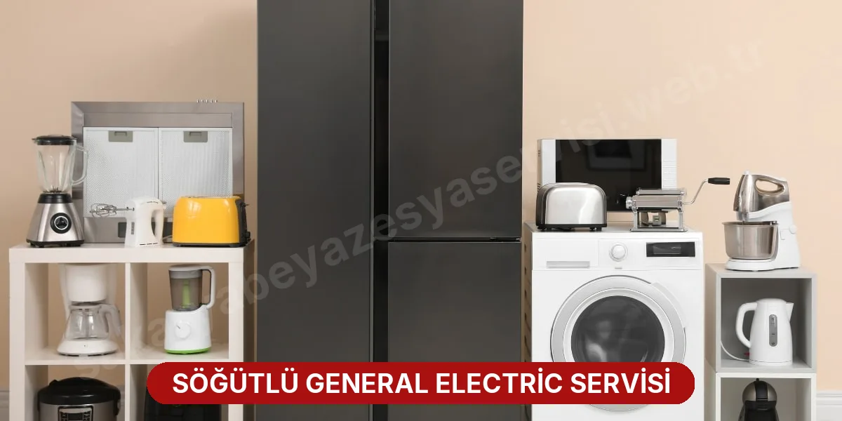 Söğütlü General Electric Servisi