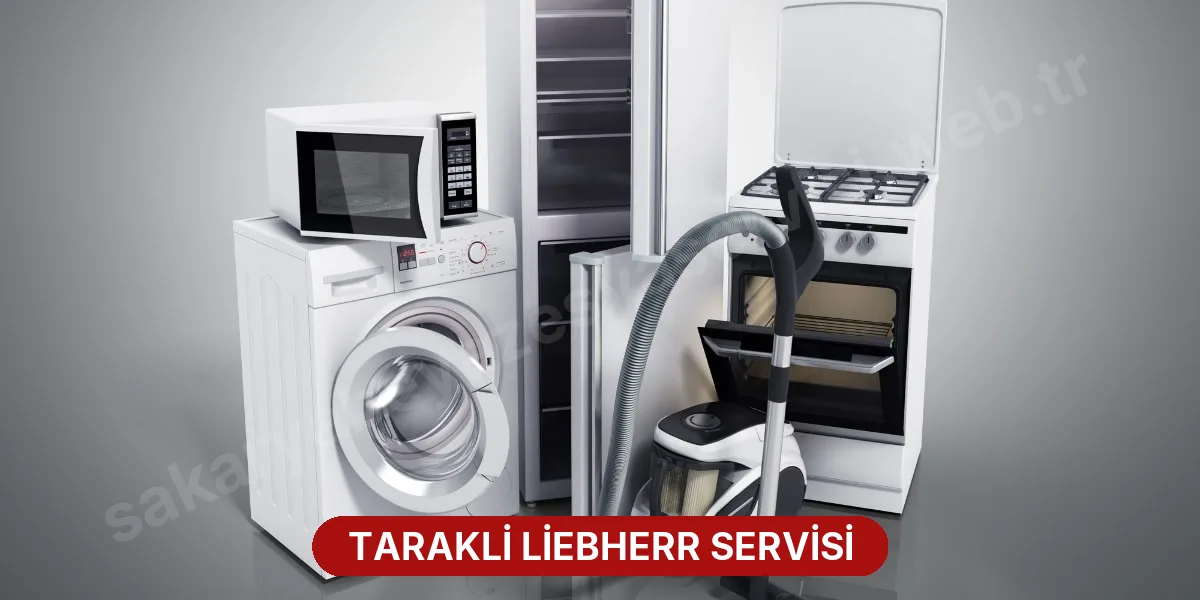 Tarakli Liebherr Servisi